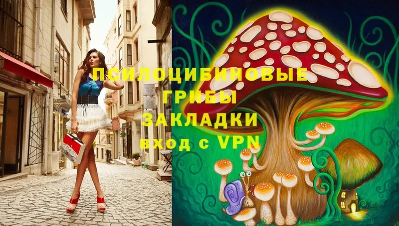 Псилоцибиновые грибы Psilocybine cubensis Великие Луки